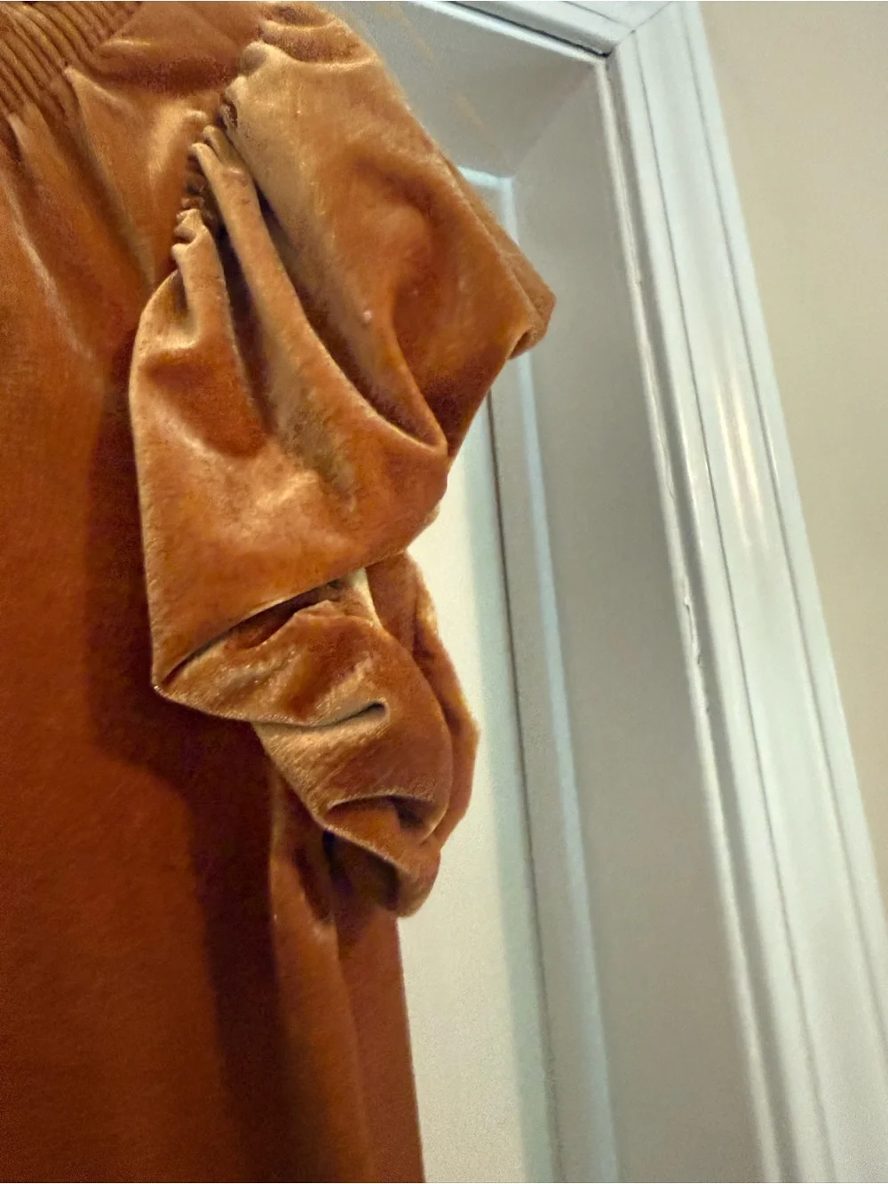 Free People Velvet Puff-Sleeve Peasant Top - Rust